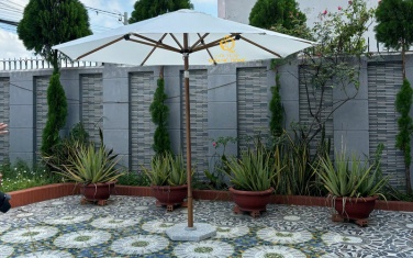 Dù đúng tâm 2.9 mét giả gỗ